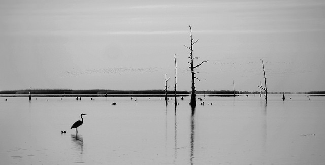 Mississippi river by David Carroll photographer