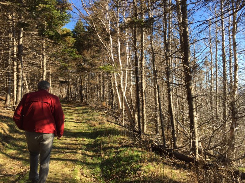 Gil MacLeod leading the way to writers' shack
