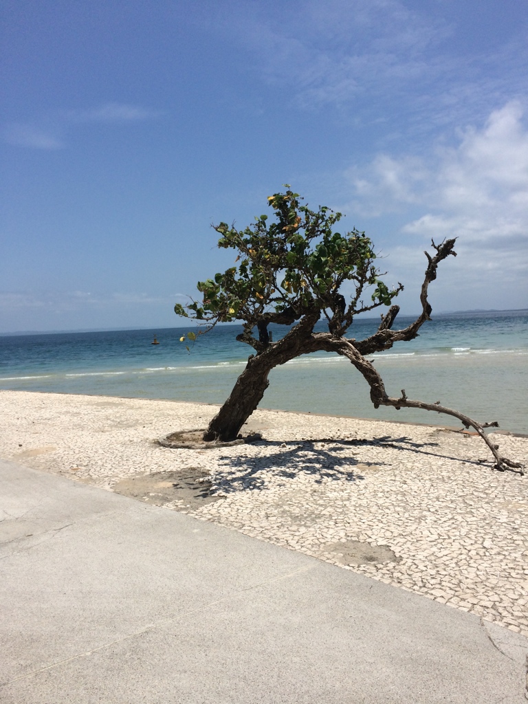 The island of Itaparica on the Atlantic coast in Bahia