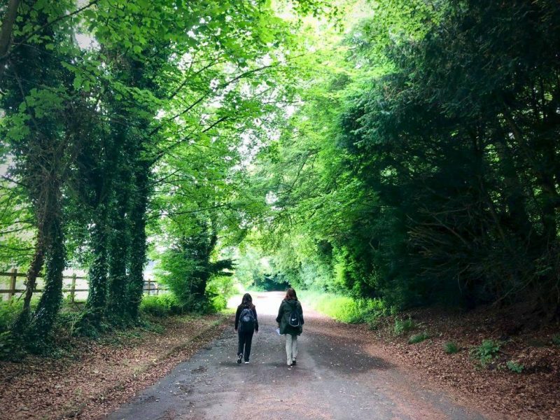 Marlene and Hayley mirror the path Jane embarked on with her sister.