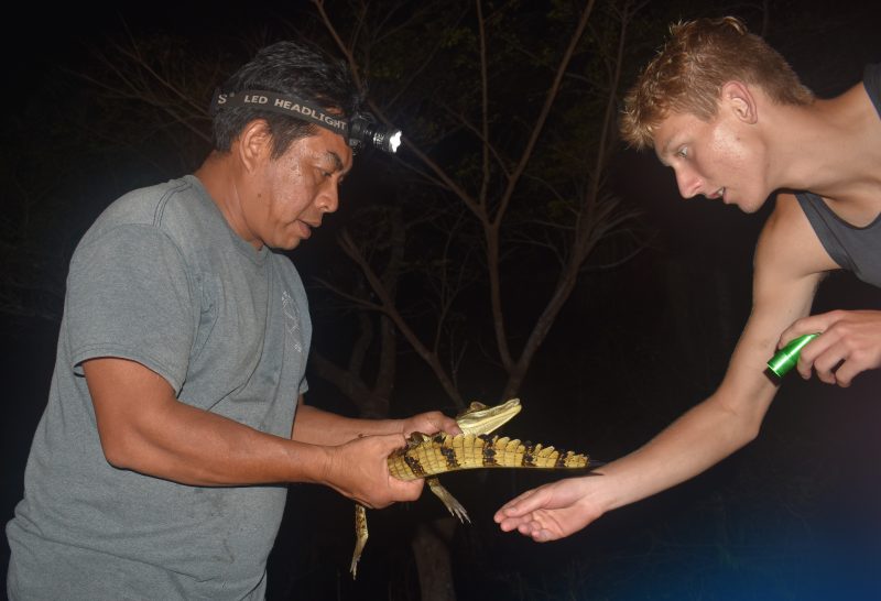 Sam showcasing a baby caiman