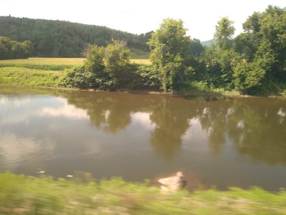 The reflection of trees on the clear water of Vermont lakes