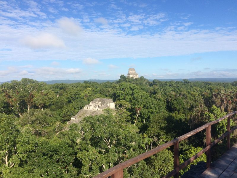 Mayan pyramids pierce the jungle canopy in Tikal