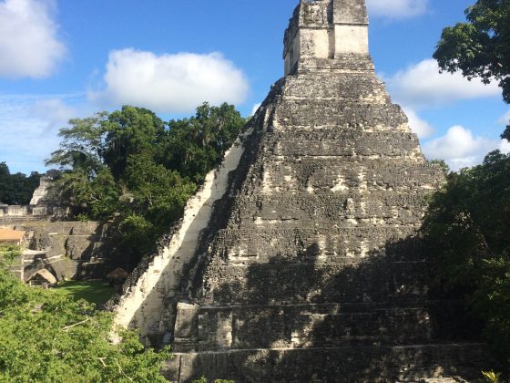 One of the larger pyramids in Tikal