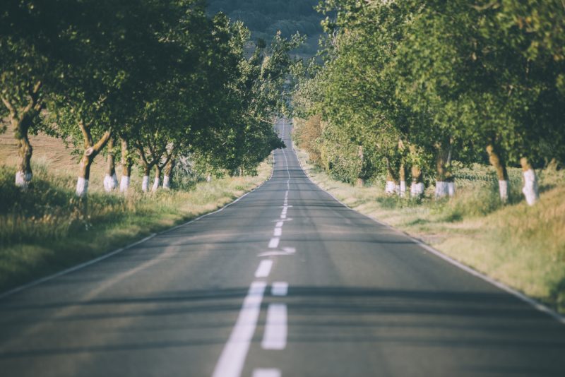 The long, thin and windy Dobrogean Roads