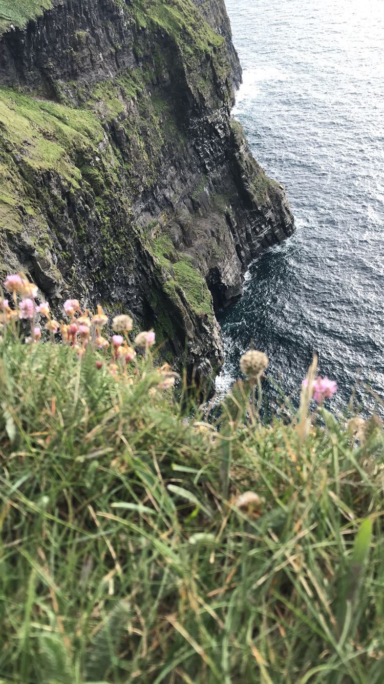 View over the edge of the cliffs