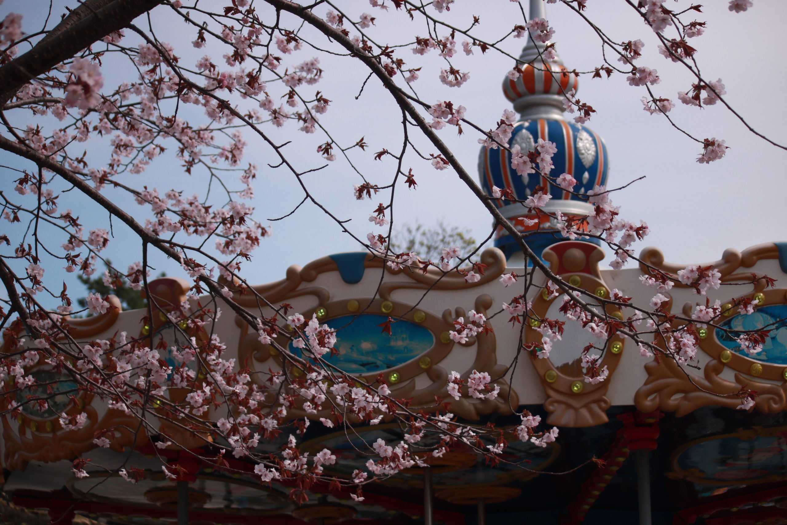 I have seen Sakhalin | Literary Traveler