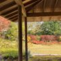 The garden at the Roku Kyoto Hotel